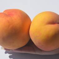 Саджанець Персик Мостиський надранній в контейнері